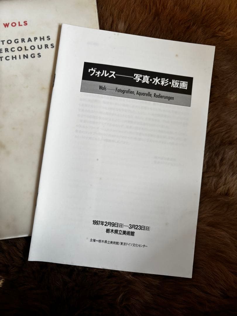 アート・デザイン・音楽 WOLS photographs watercolours etchings