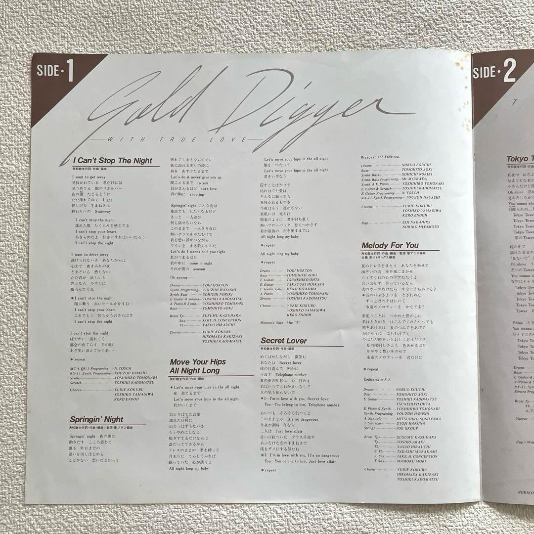 角松敏生　GOLD DIGGER〜with true love〜　LPレコード