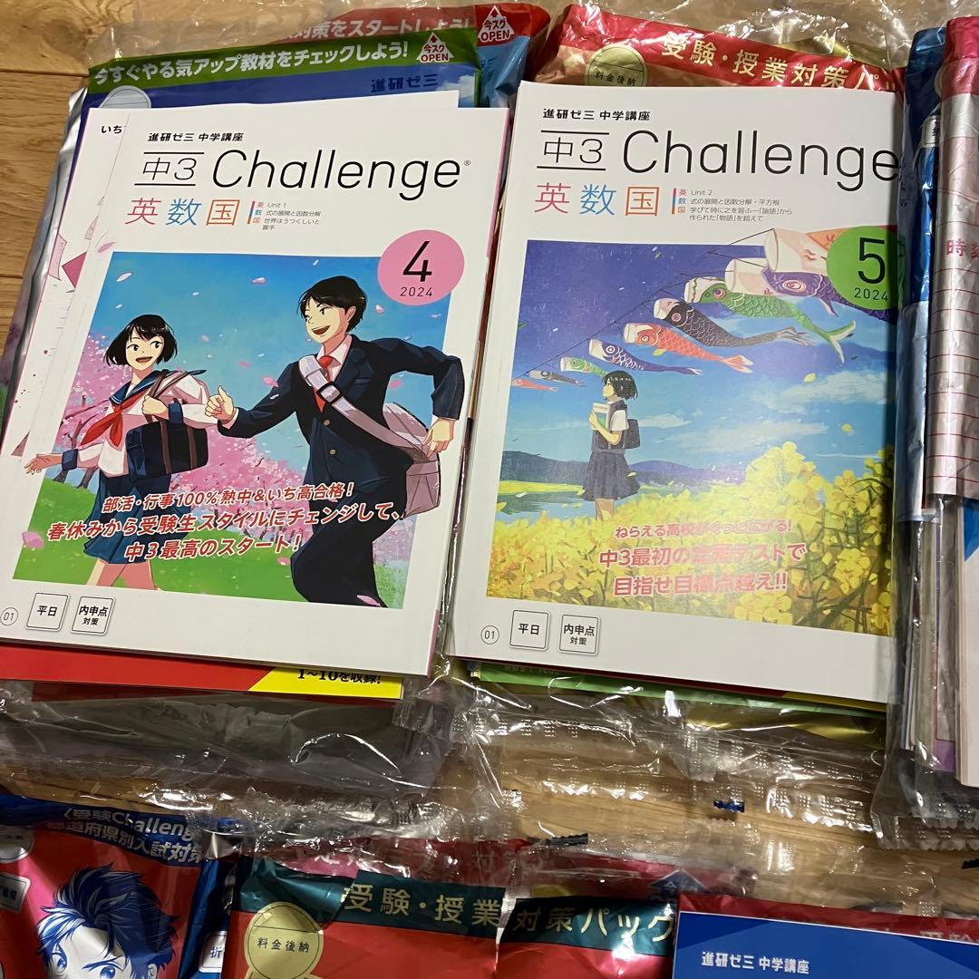 進研ゼミ 中学講座 中３ 10ヶ月分セット