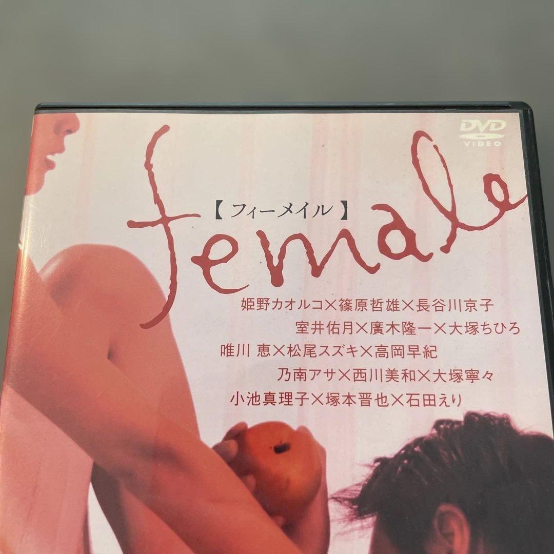フィーメイル　female