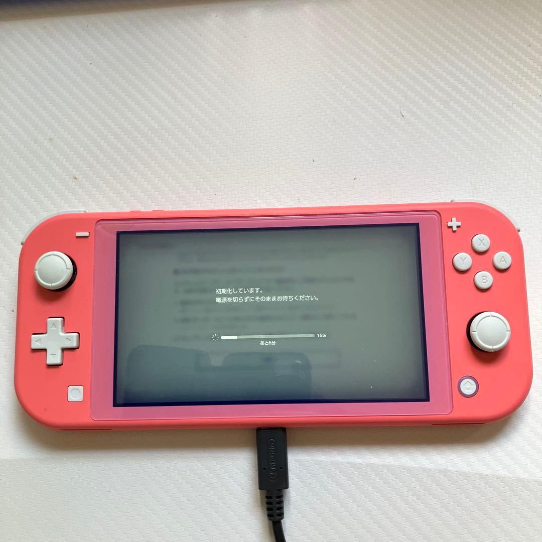 【動作確認済み】Nintendo Switch Lite 充電器あり