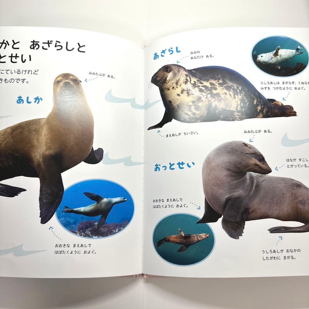 、