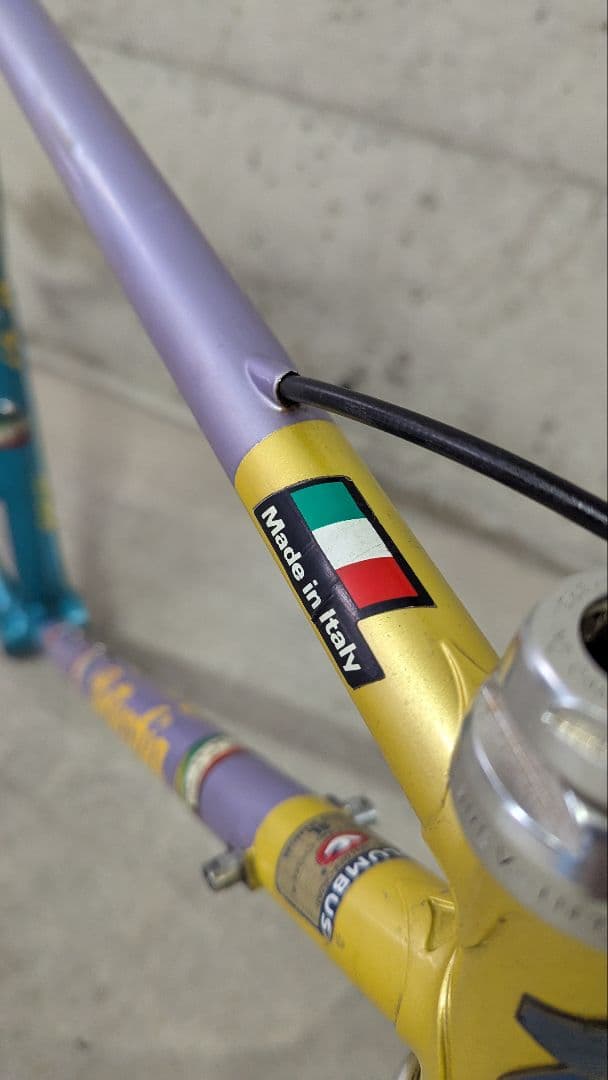 Bottecchia ボテッキア コロンバスSL クロモリロードバイクフレーム