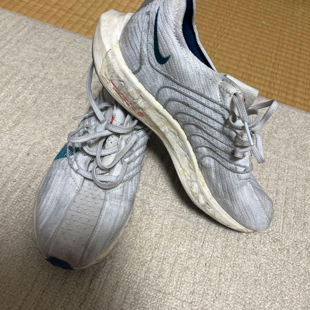 NIKE ペガサスターボネイチャー26,0cm