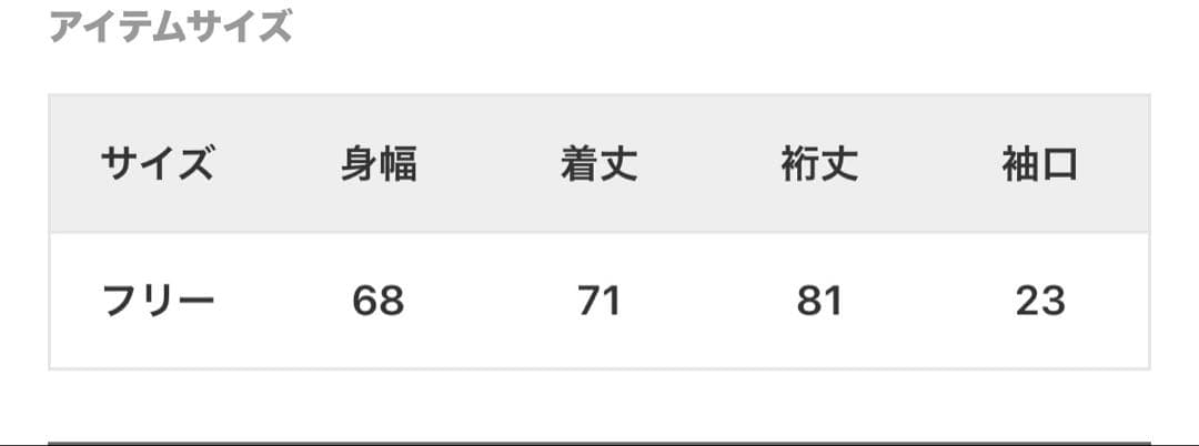 新品未使用☆タグ付き☆AP STUDIO/EVERYDAY I LIKEブラウス