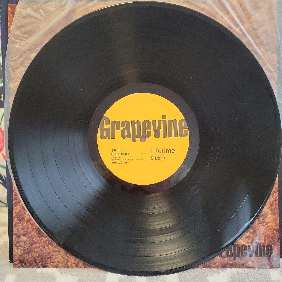 GRAPEVINE グレイプバイン LIFETIME アナログ レコード