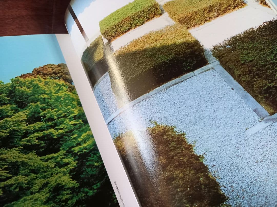 Luca　エクスファイア日本版7月号臨時増刊　雑誌