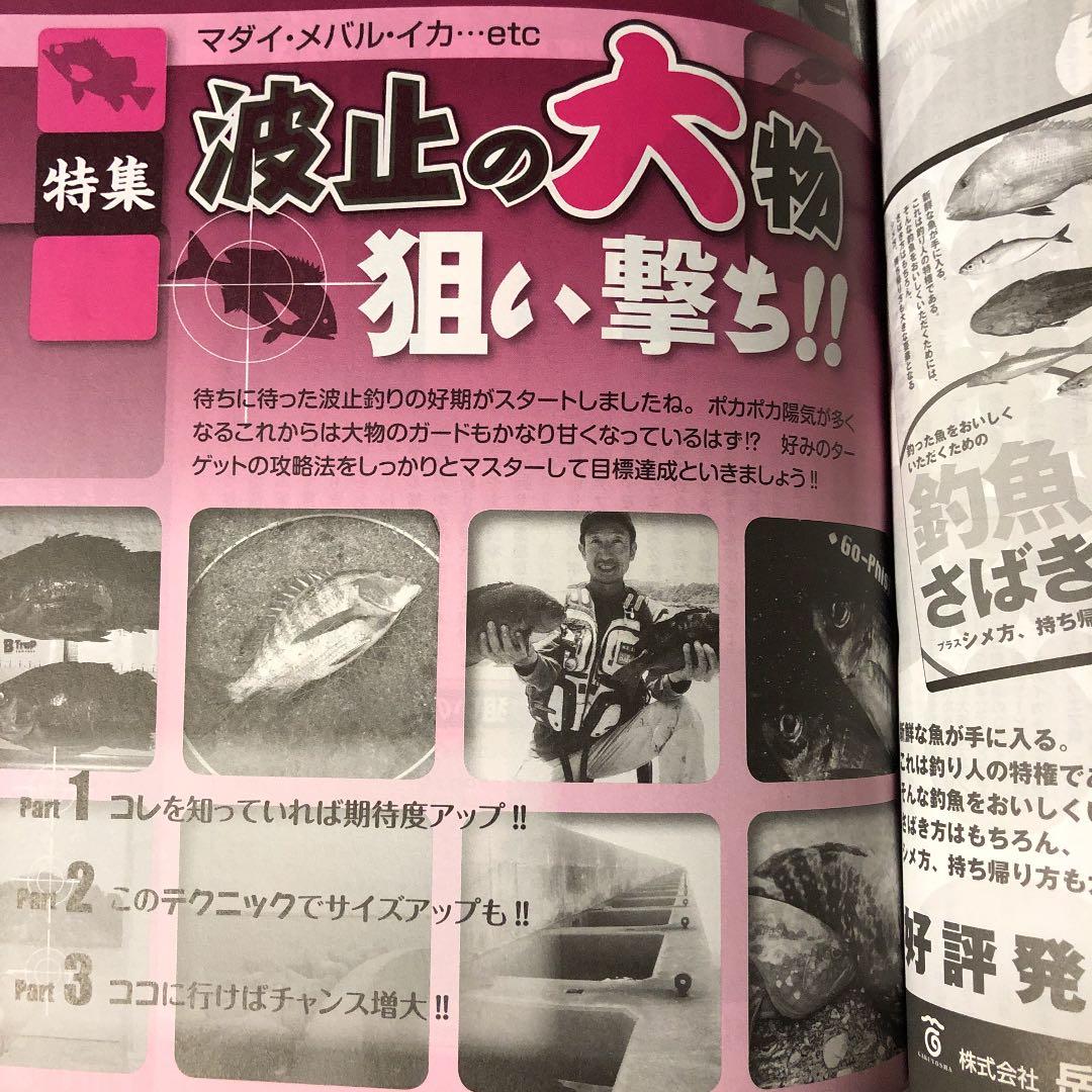 関西のつり / 2011年 6月号 / 波止の大物狙い撃ち！！ / 岳洋社