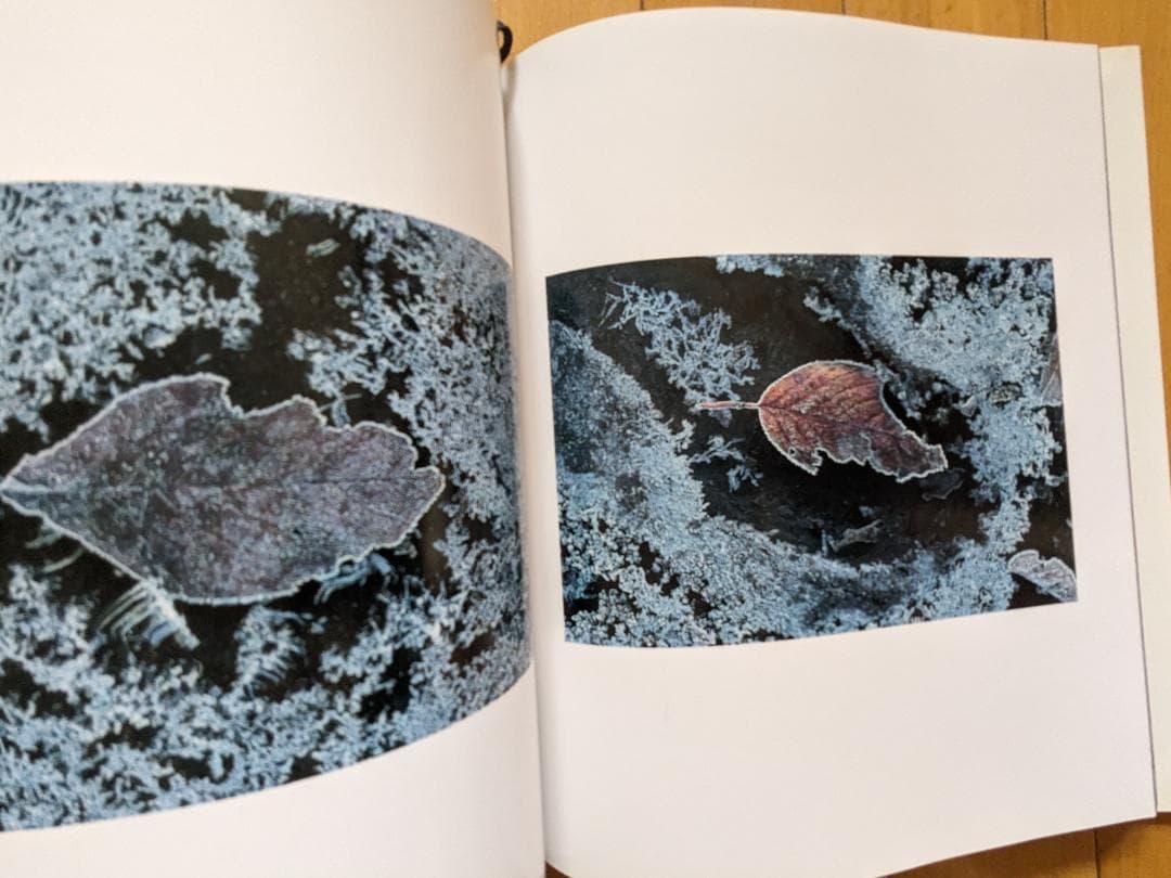 落葉　写真集　ACCUMULUS　by　MASAO OHTA　オオタマサオ