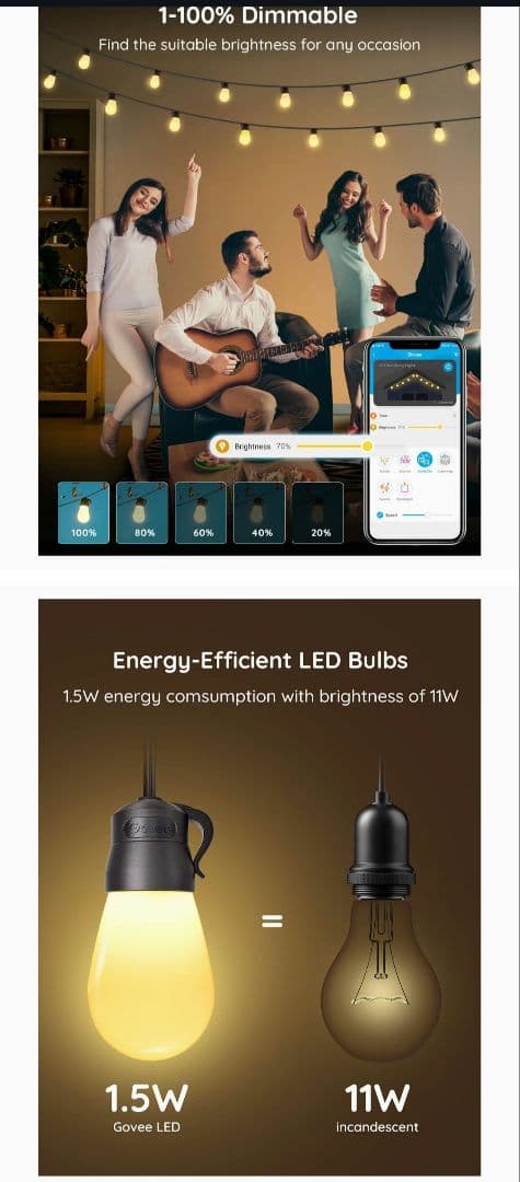 Govee ストリングライト15灯　Led Alex  Google 