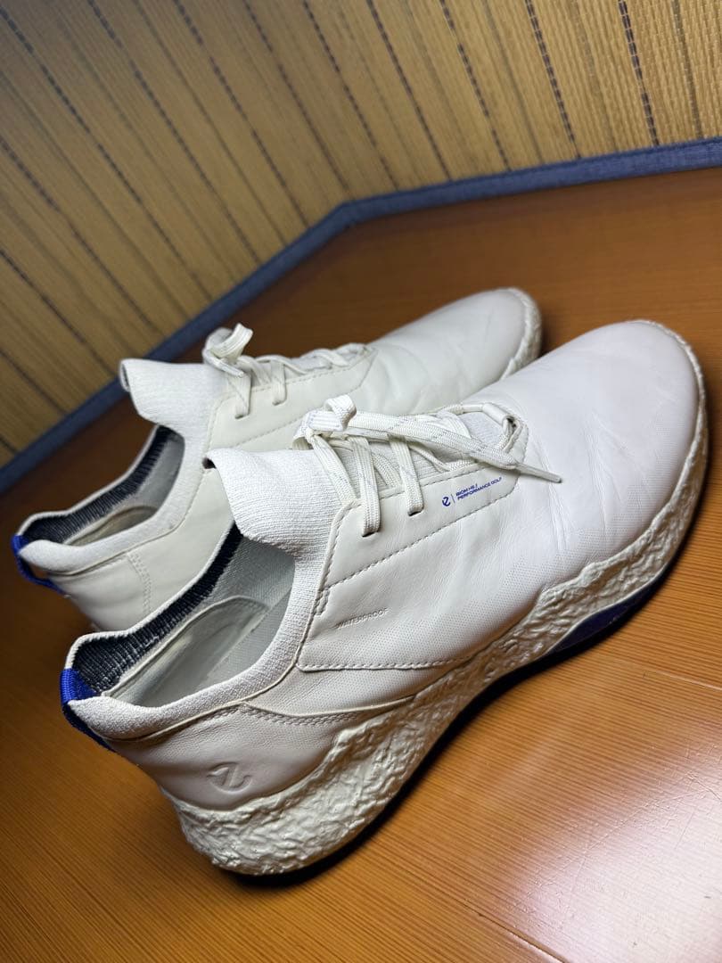 シューズ(男性用) ECCO Golf Biom H5 Hybrid Men