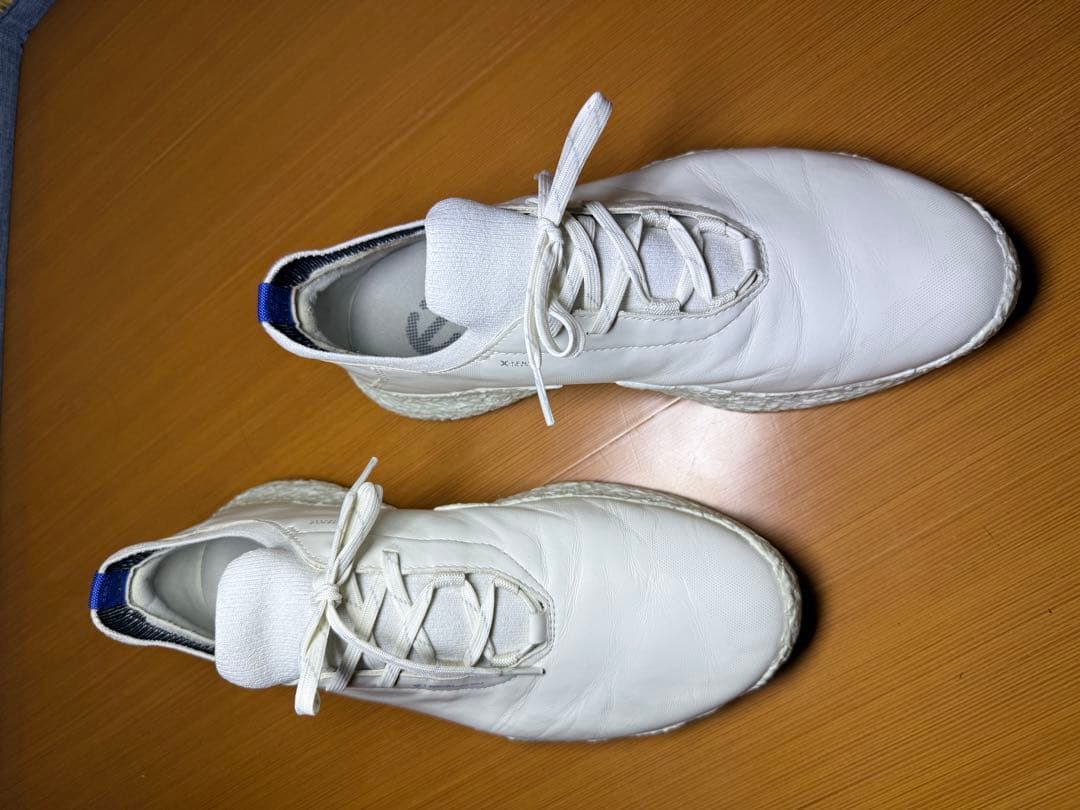 シューズ(男性用) ECCO Golf Biom H5 Hybrid Men