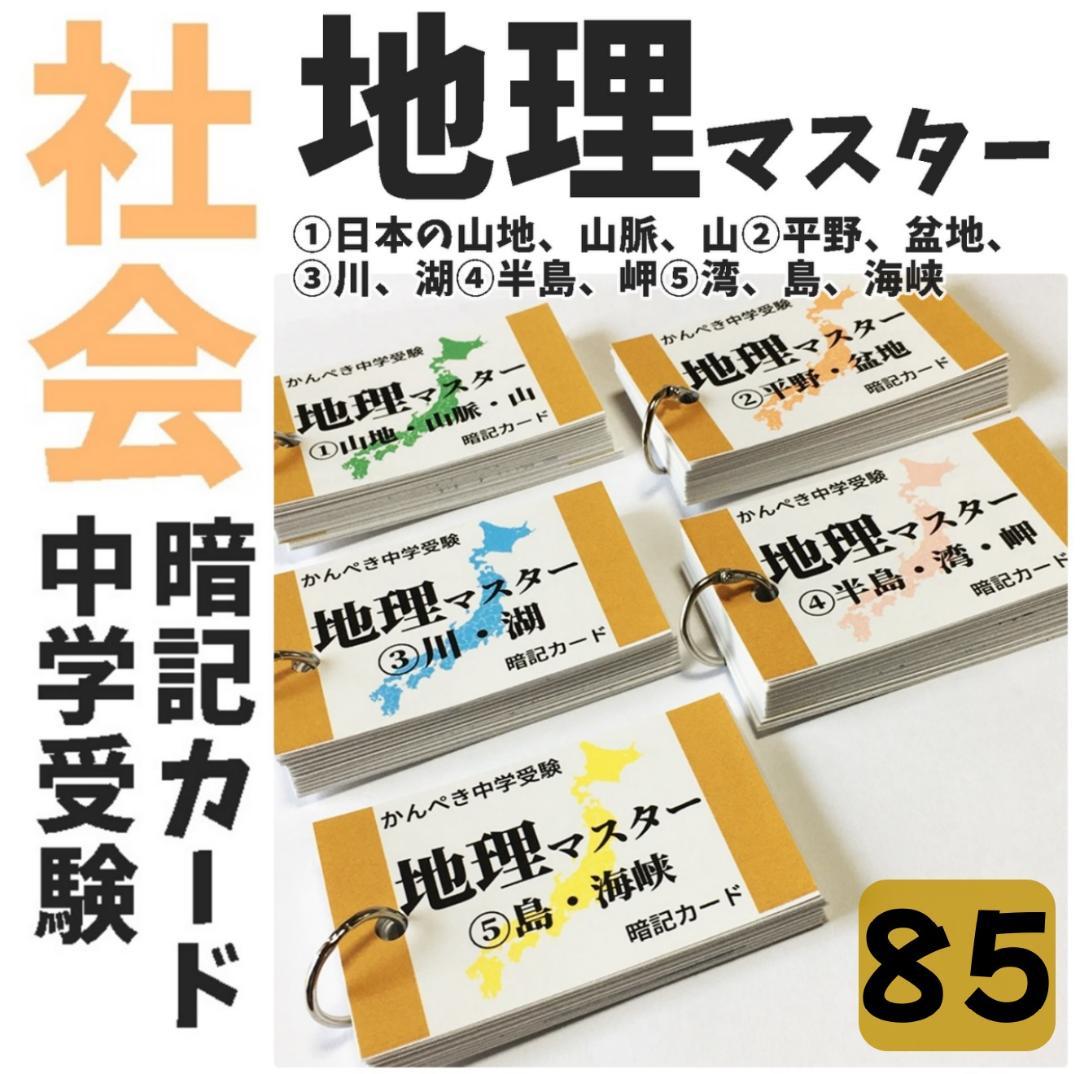 ❗️28日まで割引　中学受験セット商品【100】国語・算数・理科・社会　暗記カード