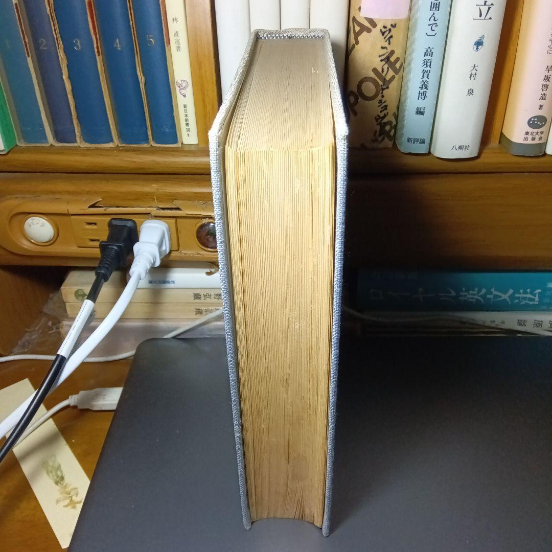 詳解ドイツ大文法　橋本文夫　三修社