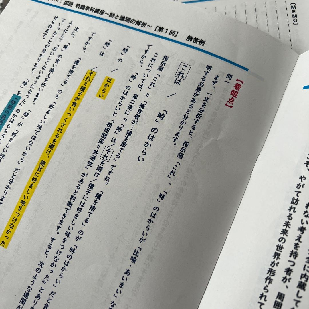 最新版　中学受験SPICA スピカ　国語　筑駒　単科講座　小6最難関校突破対策