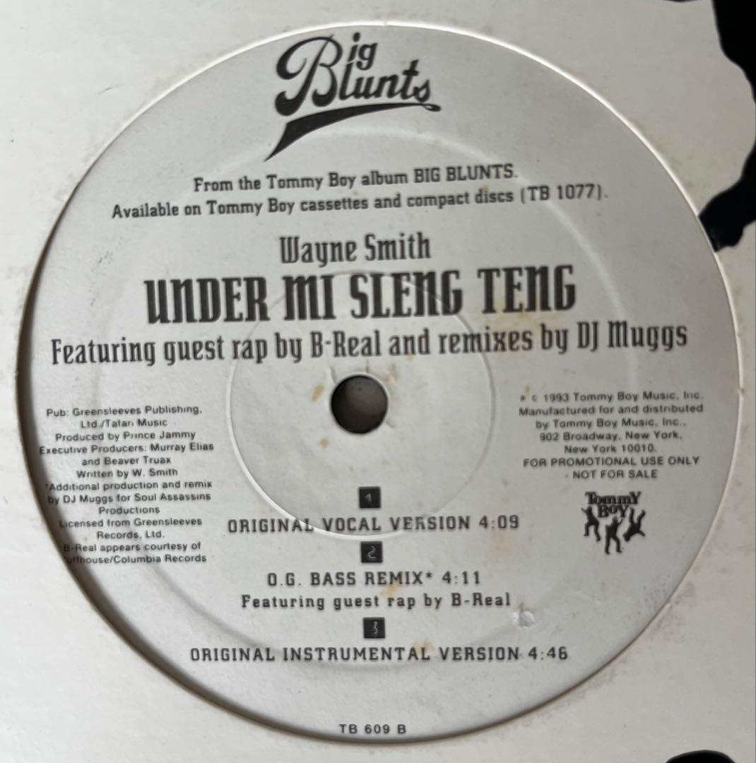 レアプロモ‼️Wayne Smith / Under Mi Sleng Teng