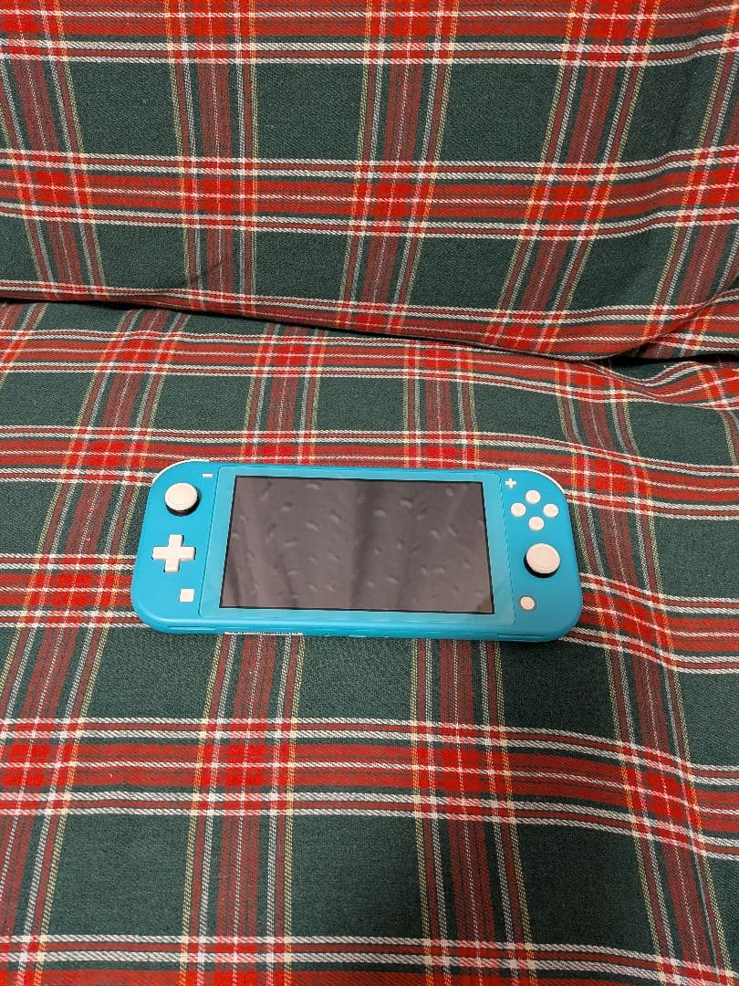 Nintendo Switch Lite ターコイズ 本体とケース