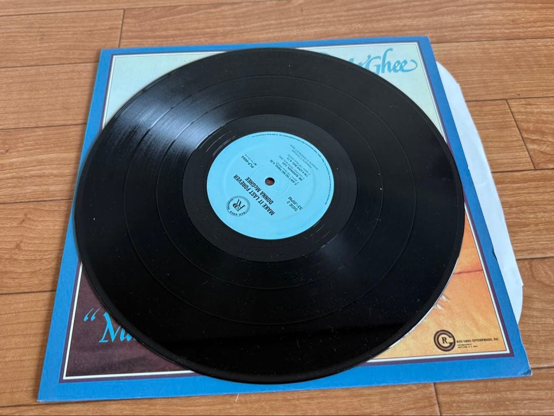 洋楽 Donna McGhee - Make It Last Forever