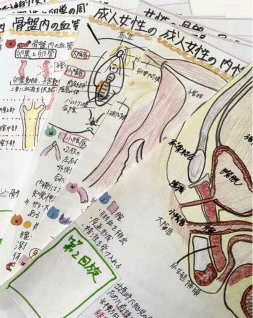 助産師　助産学生　実習・国家試験対策参考書セット　まとめ売り　まとめノート