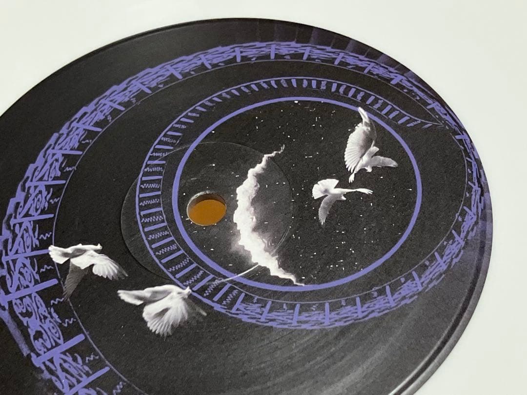 BUCK-TICK 異空 完全限定盤2枚組レコード　極美品完品です！　バクチク