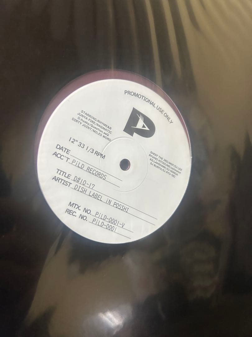DISH LABEL IN POSSIBL 未開封　DLiP RECORDS