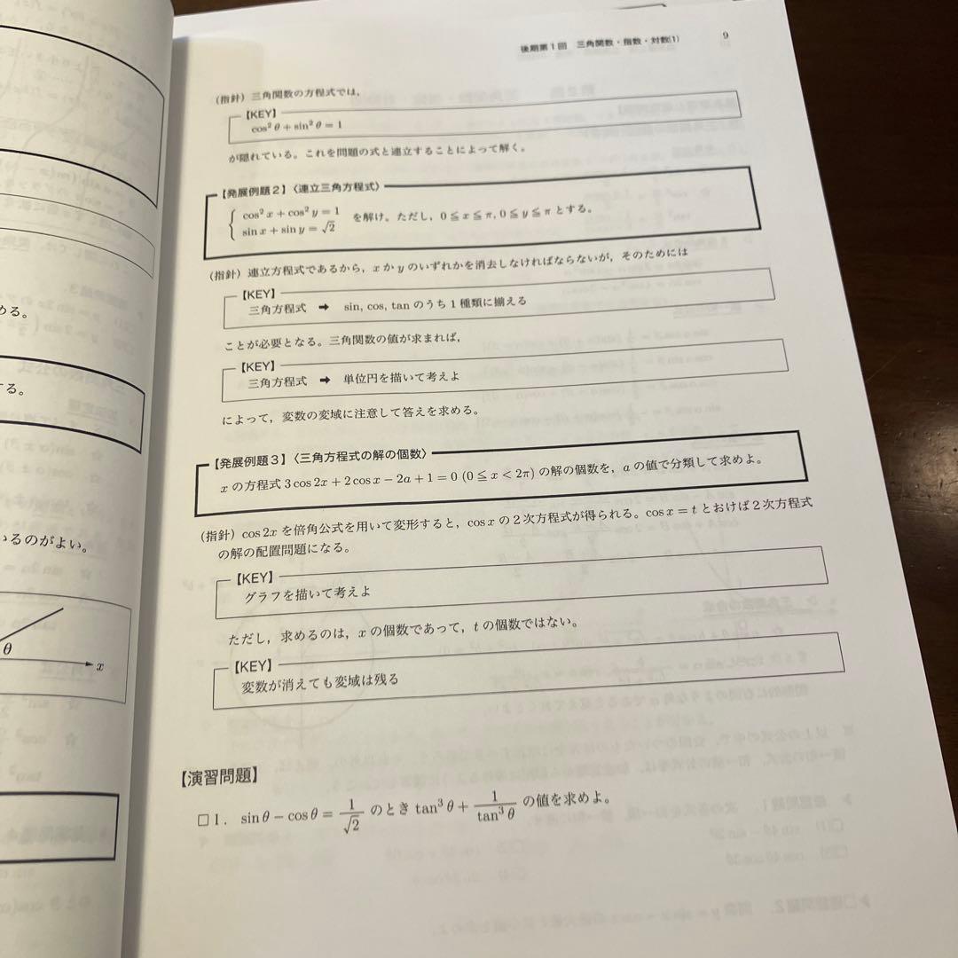 み*ん様 鉄緑会 数学発展講座Ⅱ 数学発展講座Ⅱ 問題集 解説冊子集