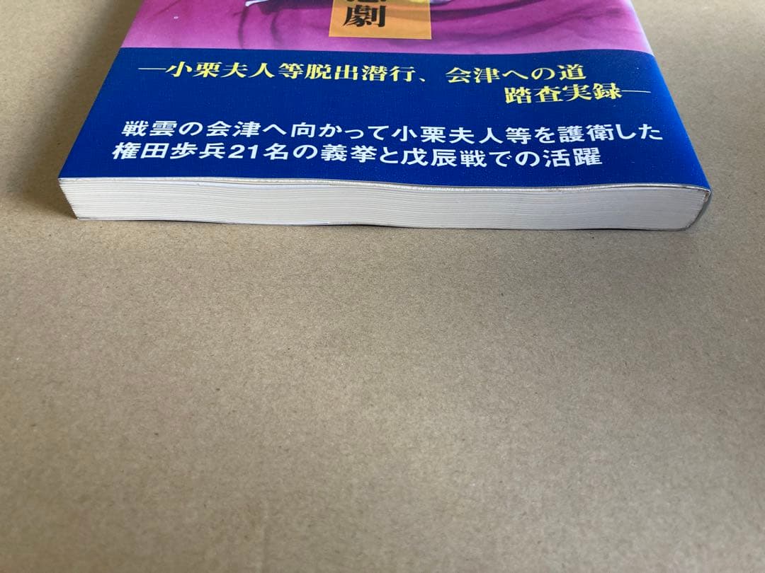 小栗上野介一族の悲劇 あさを社