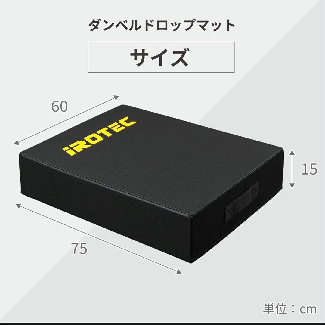【引き取り限定】ダンベルドロップマット/IROTEC（アイロテック）