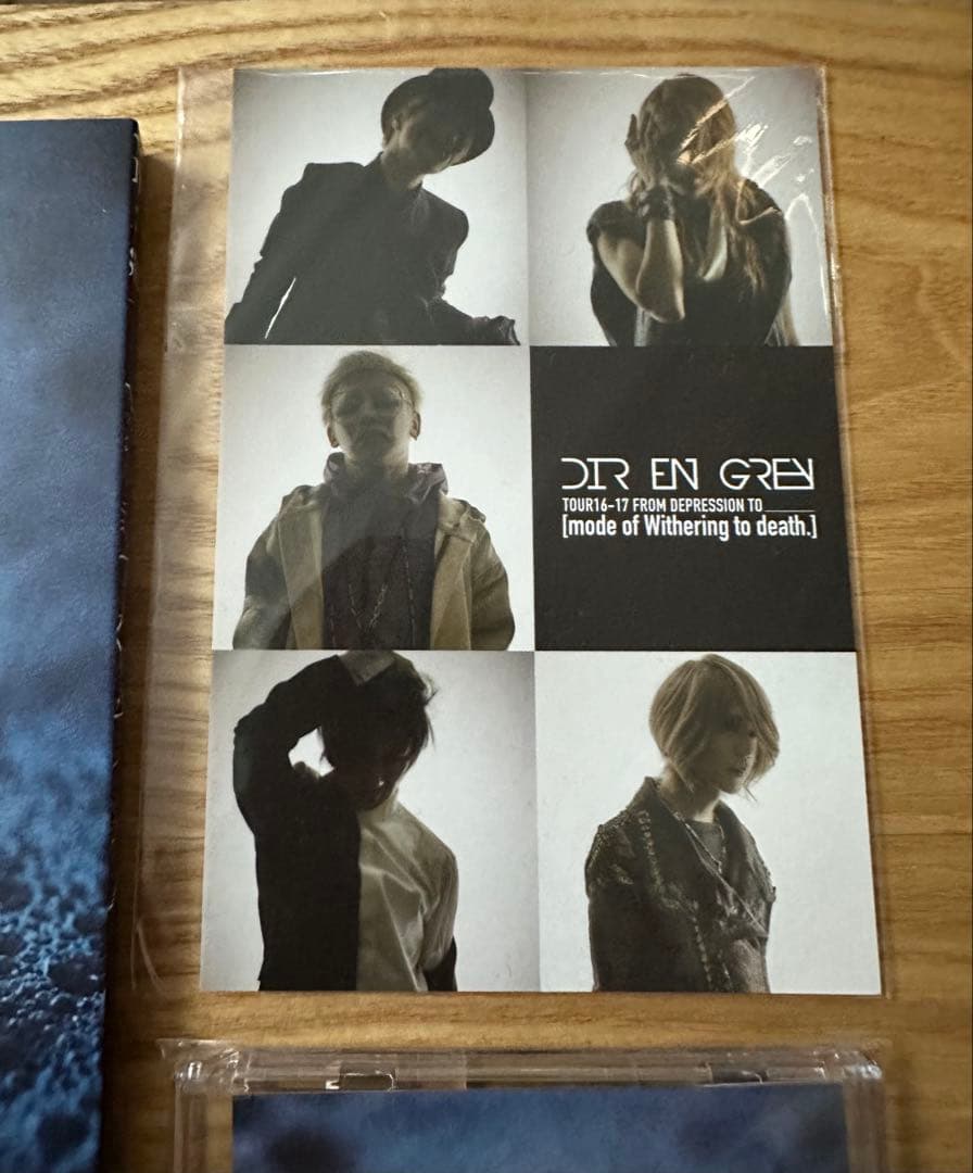ミュージック DIR EN GREY mode of Withering to death