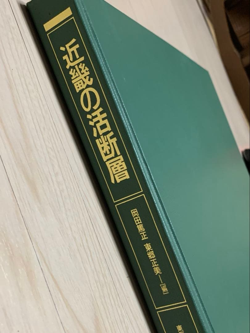⭐️￼現状品⭐️『近畿の活断層 ￼』東京大学出版会 2000年発行 初版