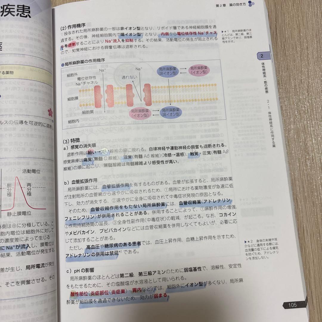 第111回　薬剤師国家試験対策参考書　青本　青問　セット　改訂第15版