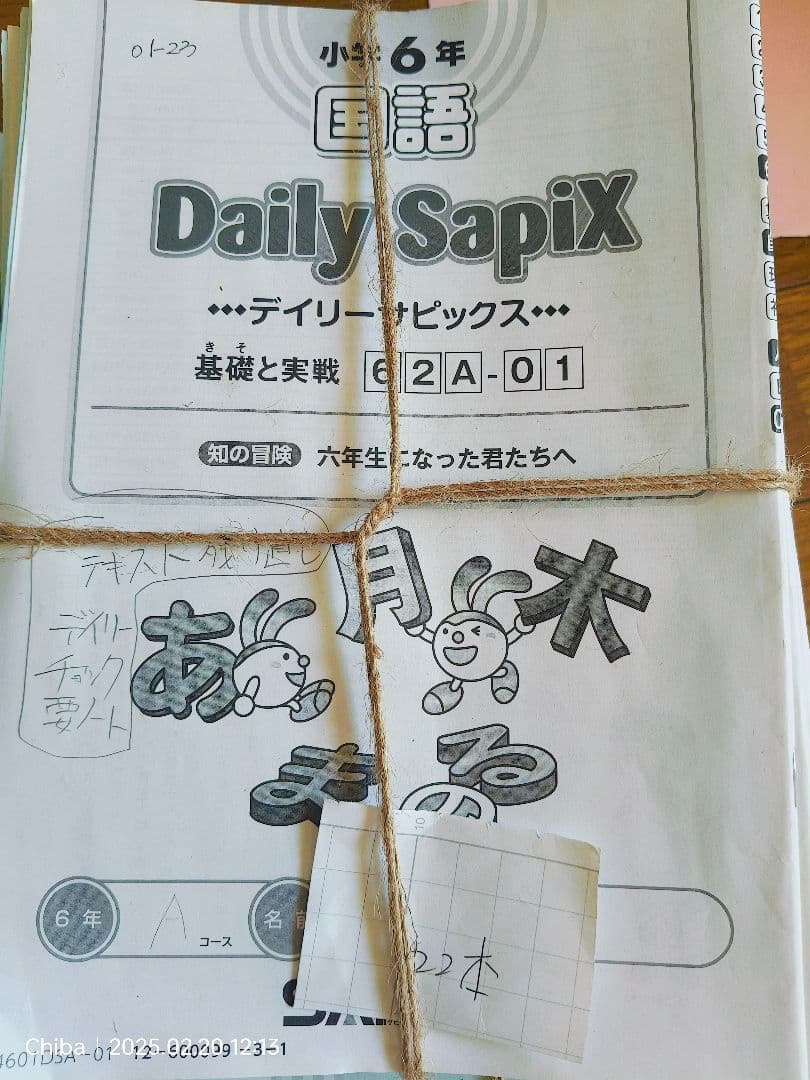 SapiX 国語教材 6年生 Summer & Weekly
