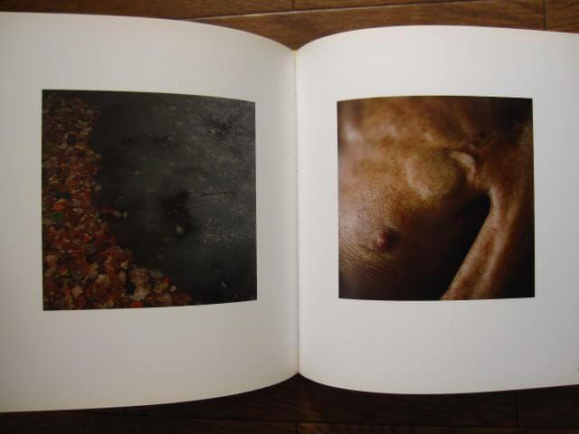 Still Here　Lydia Goldblatt