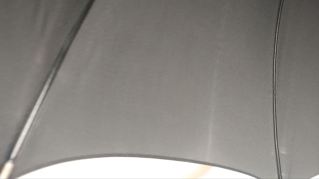 ヴィヴィアンウエストウッド雨傘