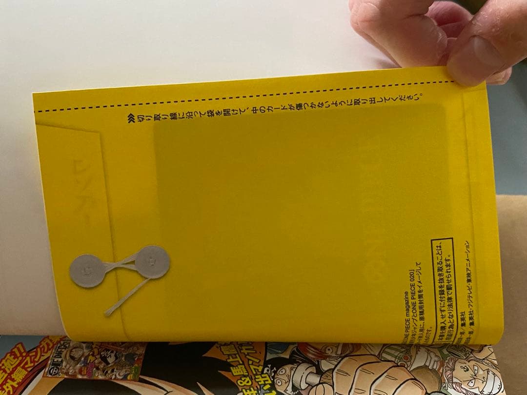 新品　ONE PIECE マガジン 20号 付録付き