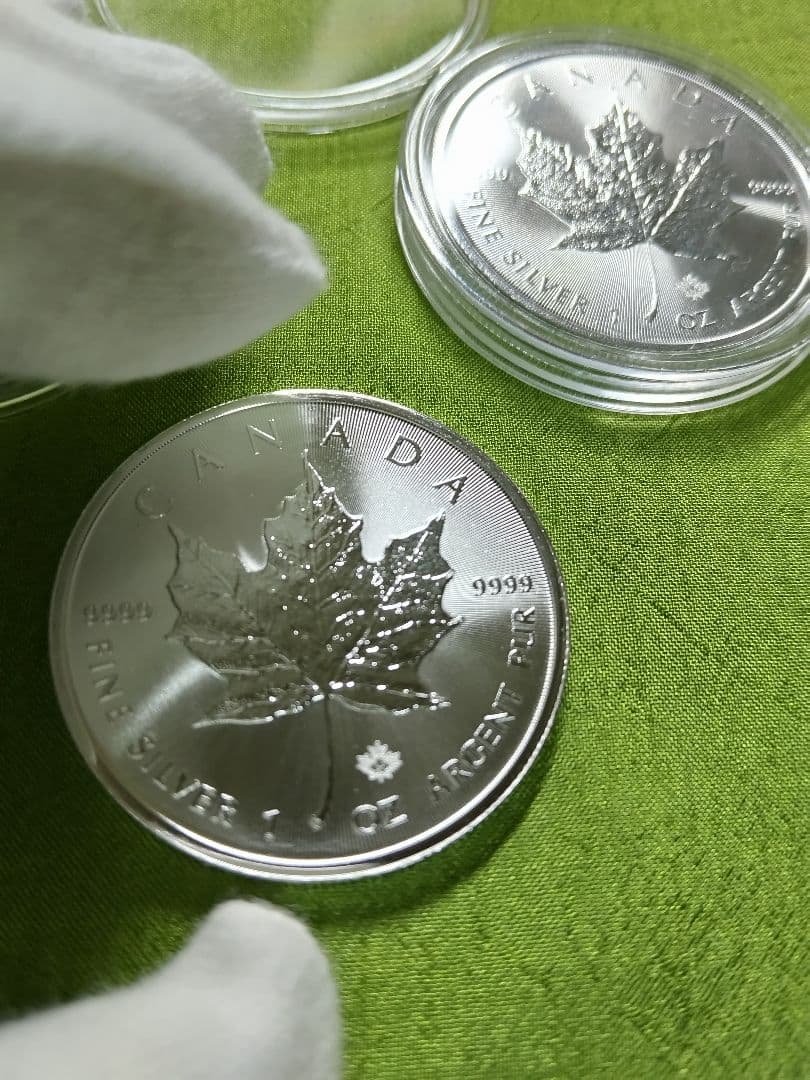 カナダ 2021年1オンスメ―プルリ―フ銀貨 クリアケ―ス入り ２枚