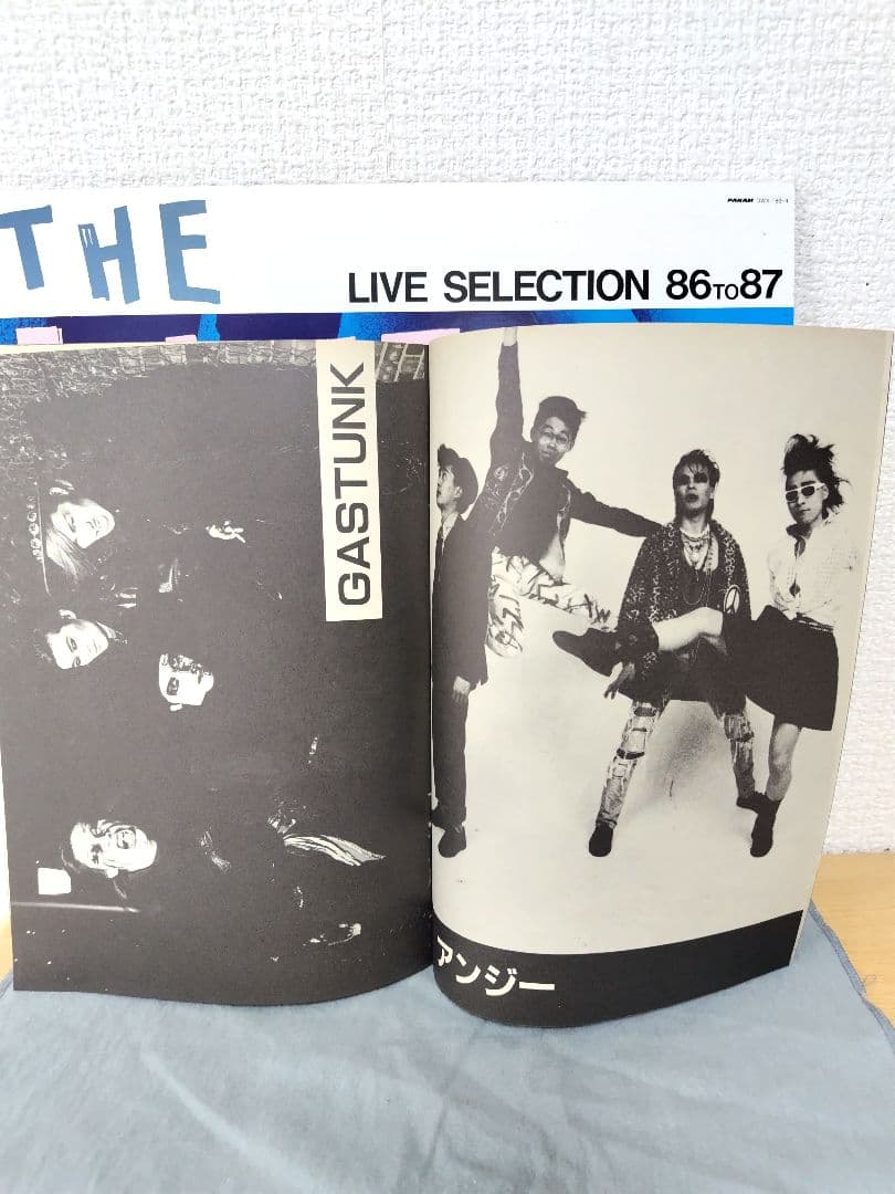 THE INDIES LPレコード2枚組　 見本盤