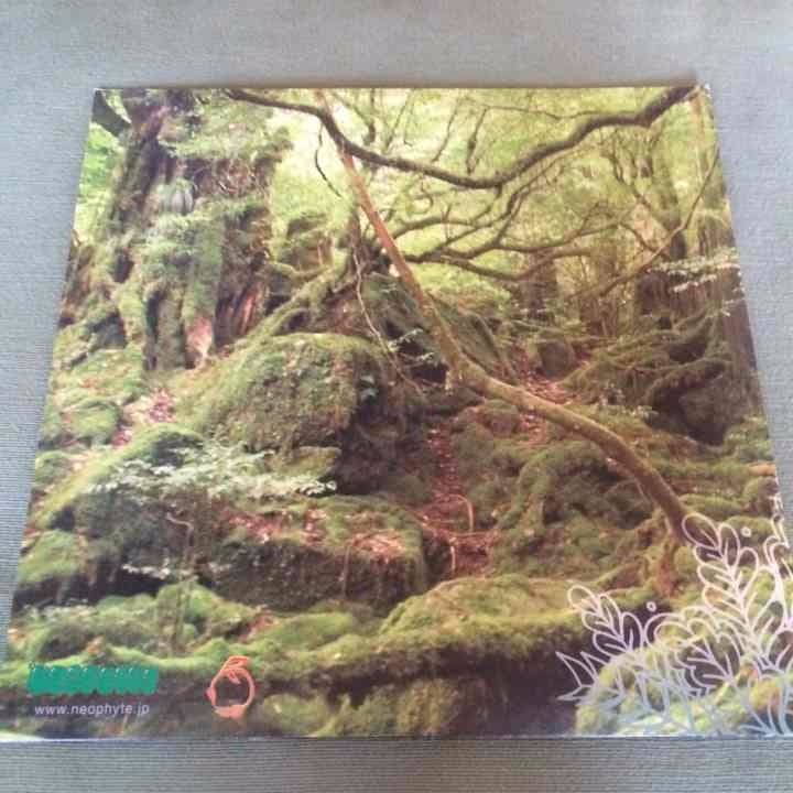廃盤 shing02 suburban 栞 レコード