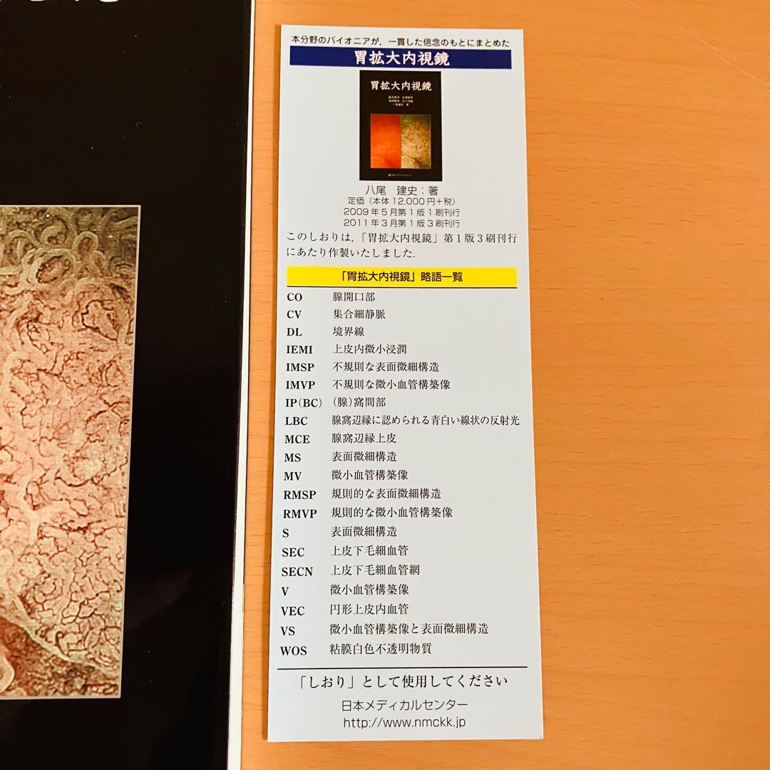 胃拡大内視鏡