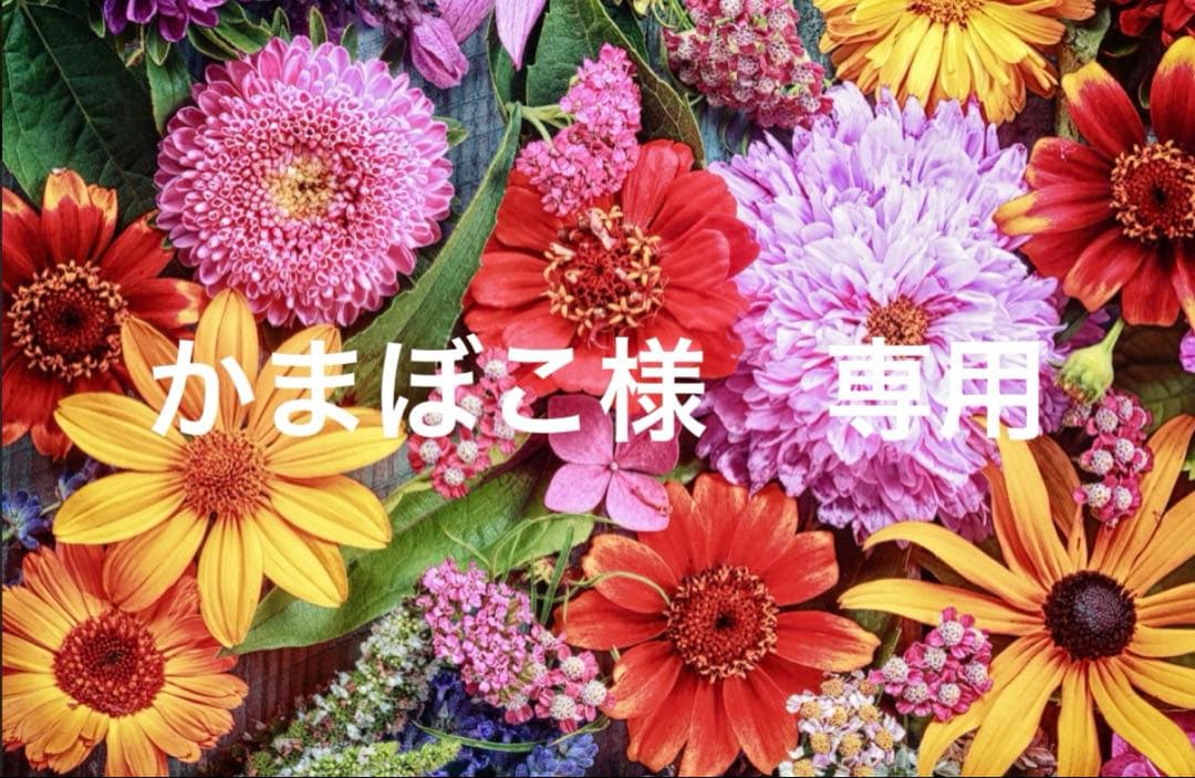 かまぼこ2