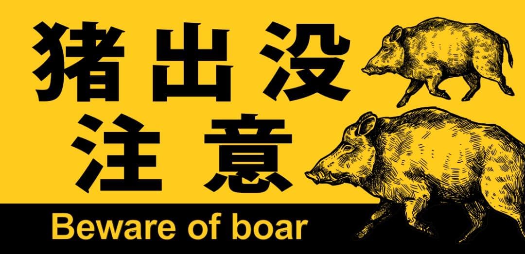 猪出没注意 猪 イノシシ 動物 アウトドア 警告 看板 置物 雑貨 ライトBOX