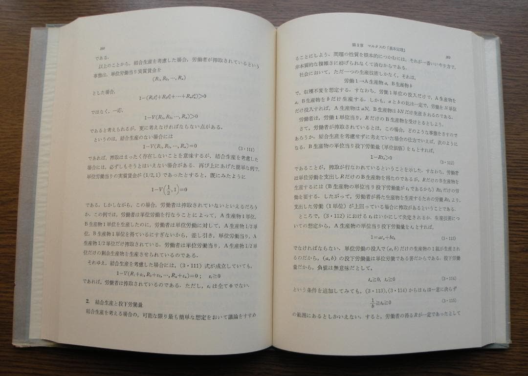 置塩信雄　マルクス経済学　価値と価格の理論