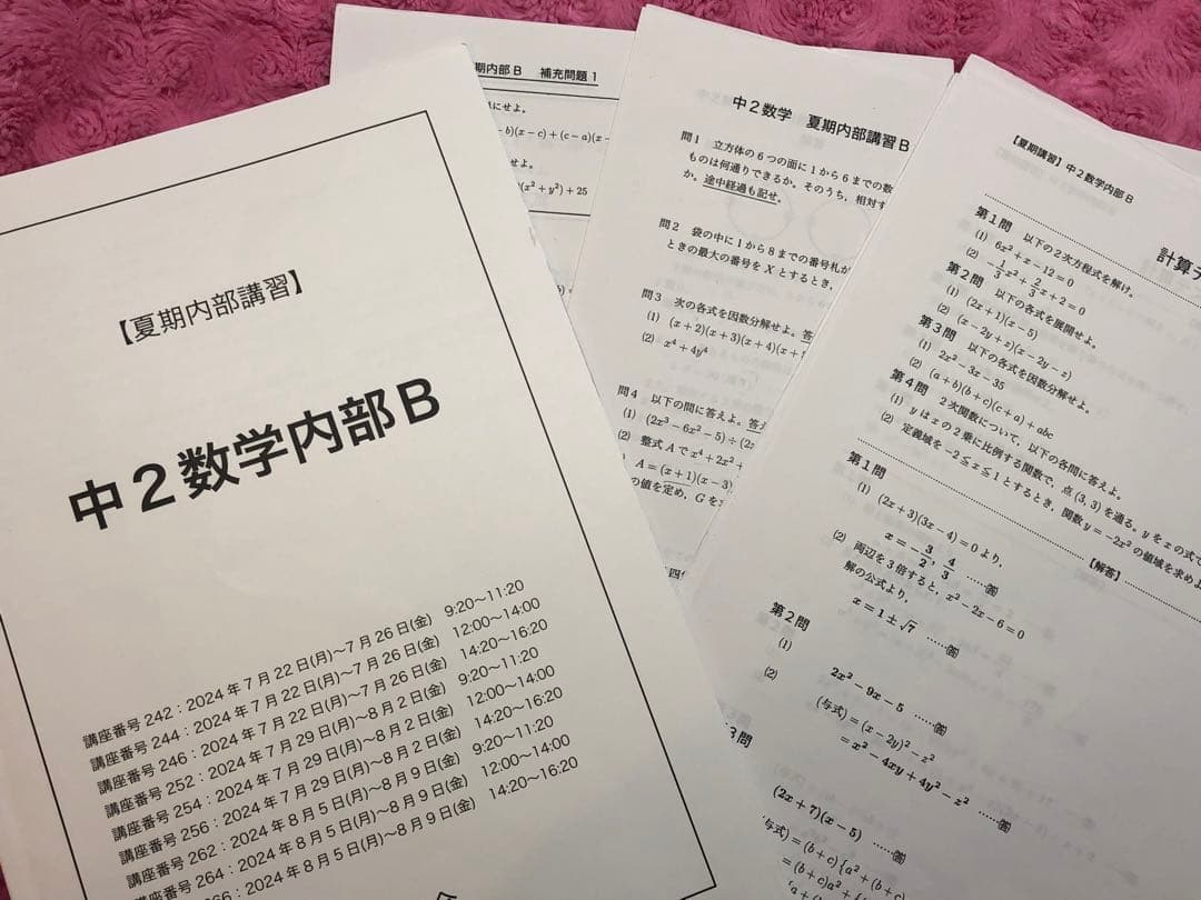 【kmkm 様おまとめ割】鉄緑会　中2 数学セット