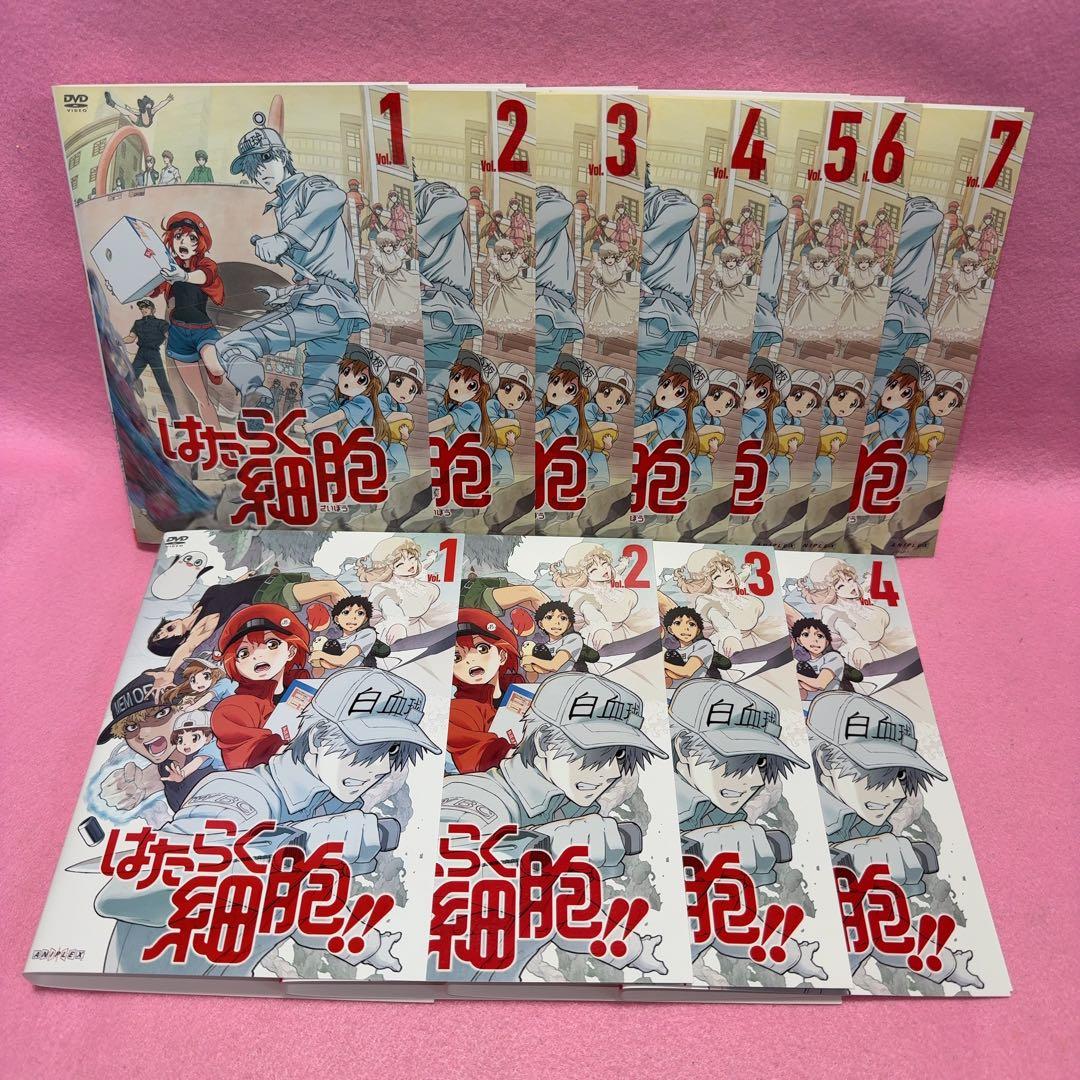 新品ケース有 はたらく細胞 19巻セット
