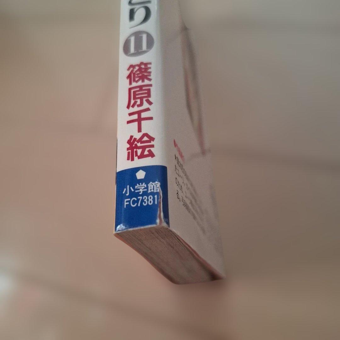 天は赤い河のほとり 全28巻セット
