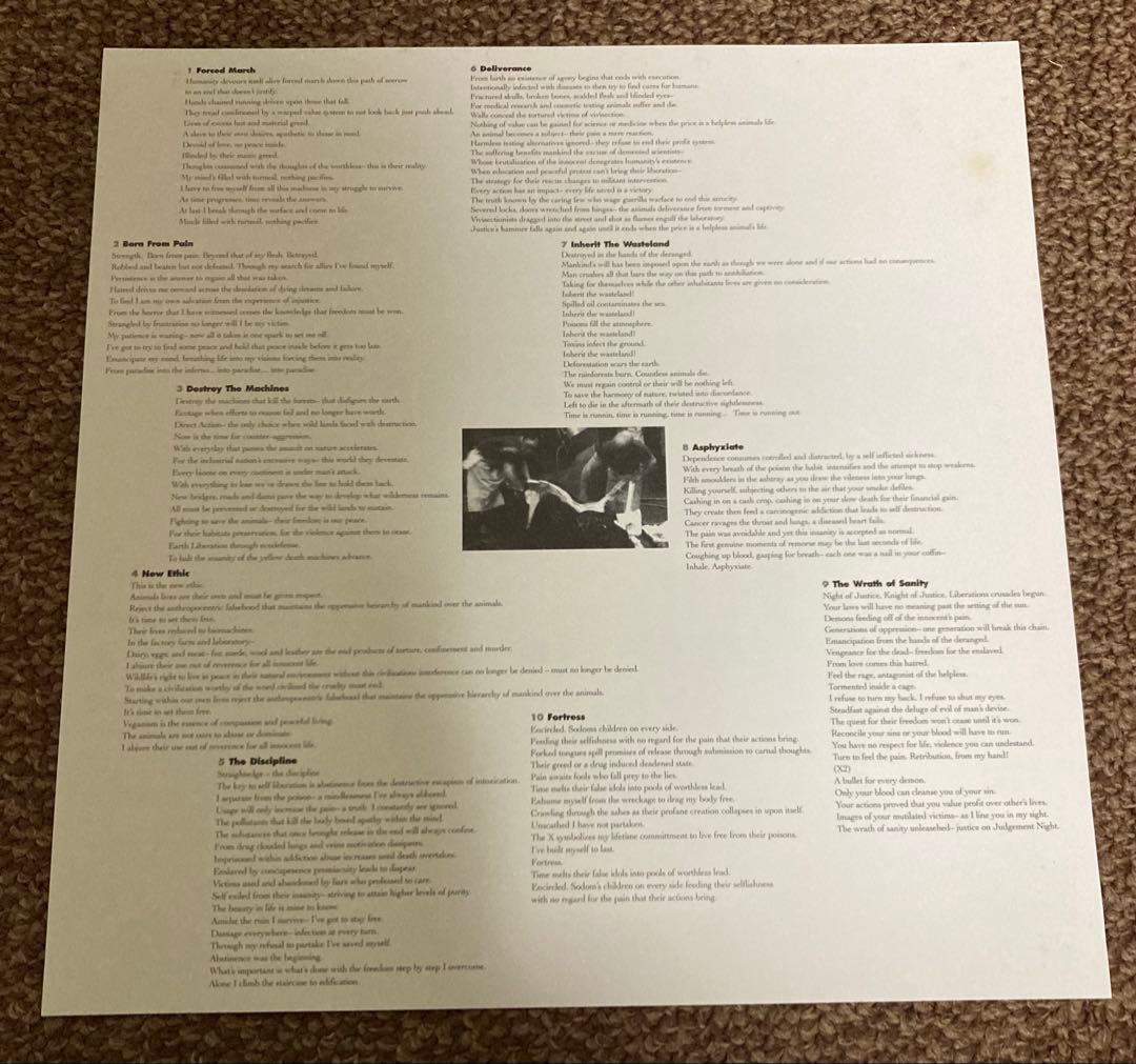 洋楽 EARTH CRISIS/DESTROY THE MACHINES LP
