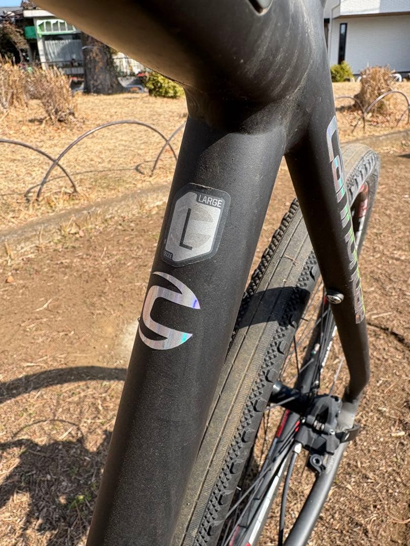 Cannondale キャノンデールバッドボーイ2 2020 サイズL