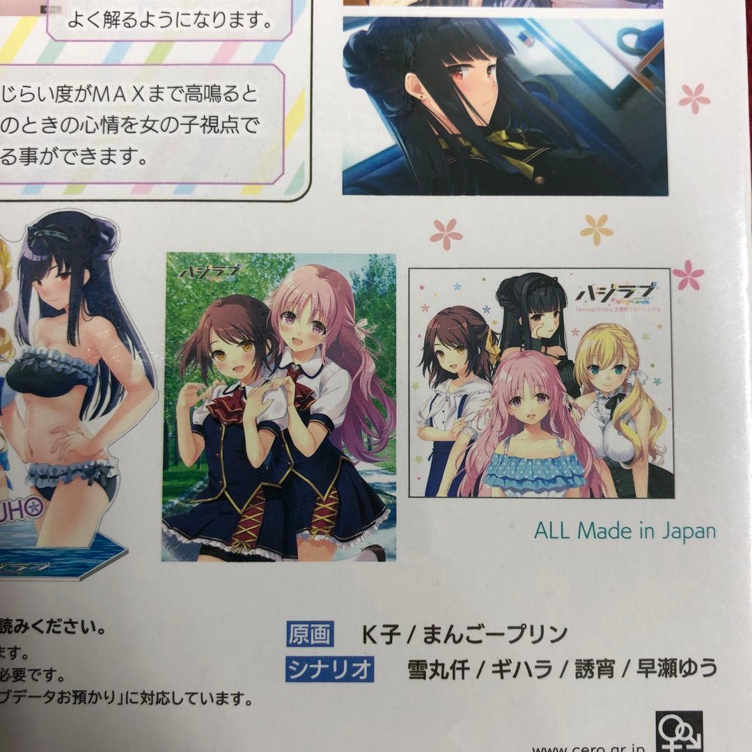 ハジラブ Making*Lovers 完全生産限定版　新品未開封　SWITCH