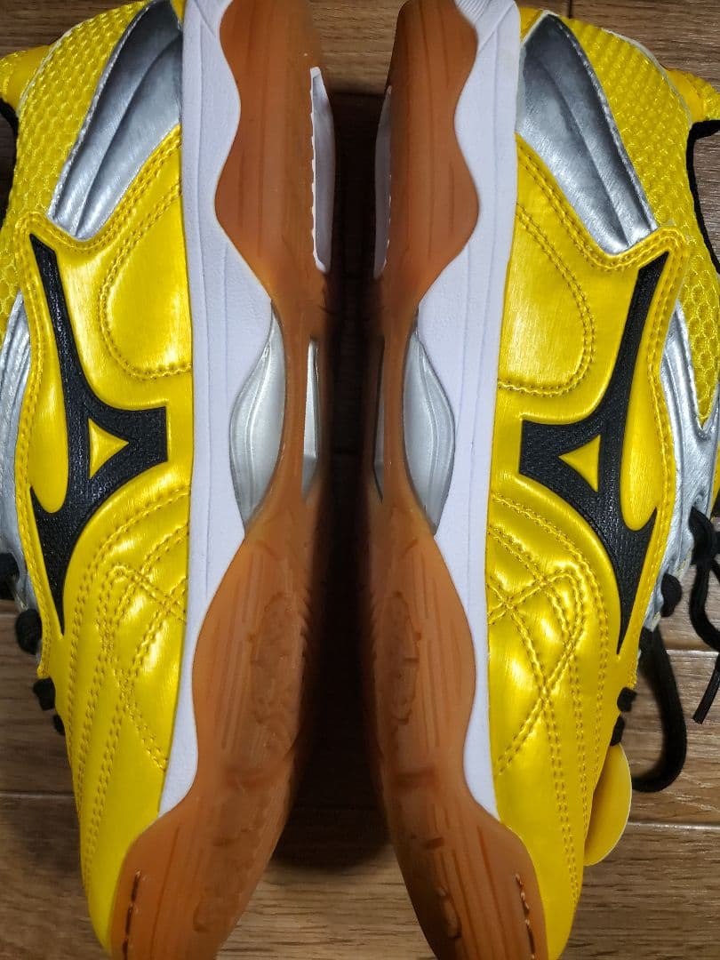 Mizuno ウェーブクレヴィスタプロ 25.0cm