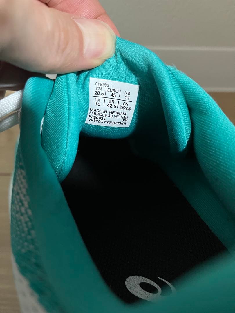 asics dynablast5 アシックス　ダイナブラスト5 28.5センチ